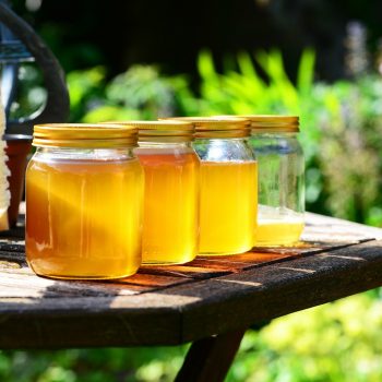 Seminar zur Bestimmung von argentinischen Honig